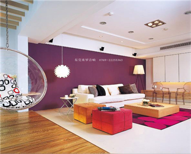 家庭影院及背景音樂(lè )